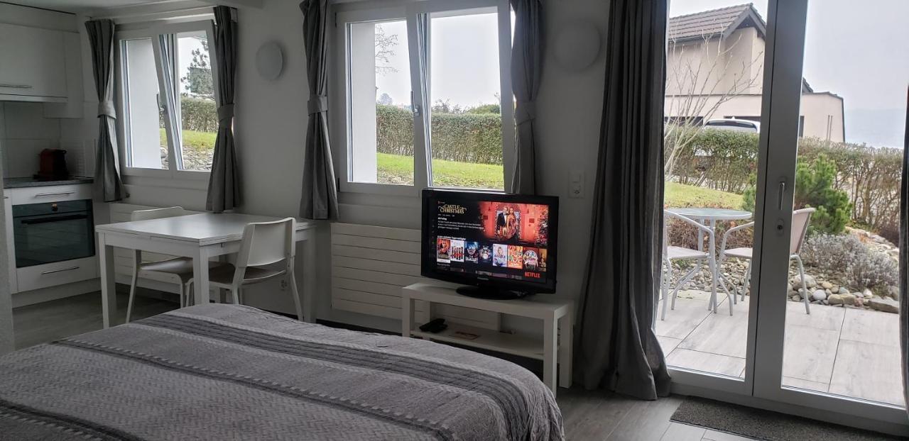 Lake View Private Studio Richterswil 외부 사진