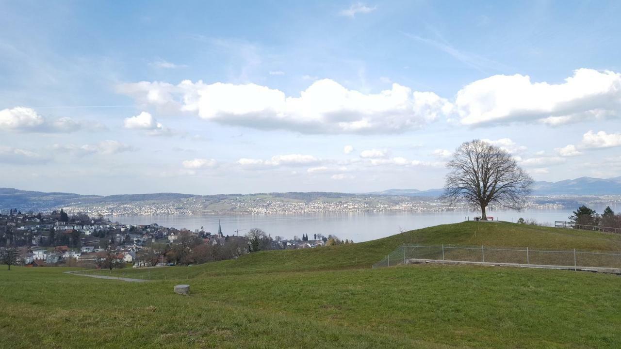 Lake View Private Studio Richterswil 외부 사진